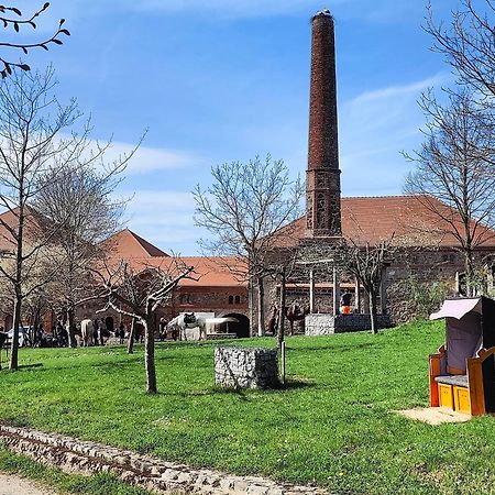 Tinyhousebeidresden 1 - Direkt Am Naturteich - Naehe Saechsische Schweiz, Dresden Großharthau Kültér fotó