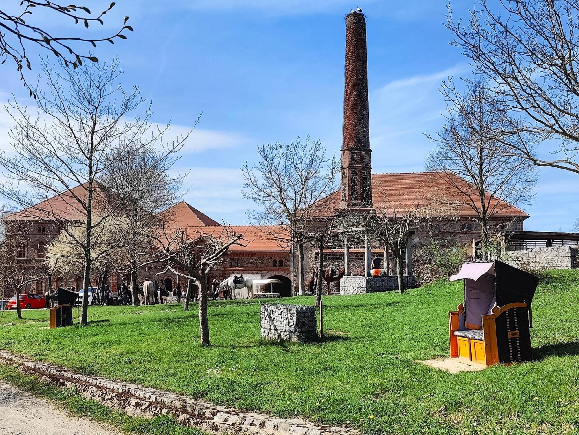 Tinyhousebeidresden 1 - Direkt Am Naturteich - Naehe Saechsische Schweiz, Dresden Großharthau Kültér fotó
